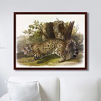 картина: jaguar, 1841г. в Ярославле