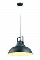 подвесной светильник arte lamp martin a5213sp-1bg в Ярославле