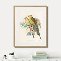 картина: love parrots, 1850г. в Ярославле