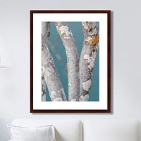 картина: trees on the galapagos islands, ecuador no1 в Ярославле