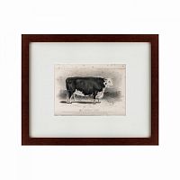 картина: a hereford bull, 1849 в Ярославле