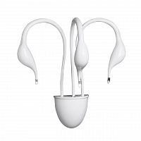 бра lightstar cigno collo wt 751636 в Ярославле