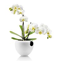 горшок для орхидеи orchid pot белый в Ярославле