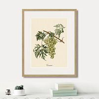 картина juicy fruit lithography №13, 1870 г., 42х52 см в Ярославле