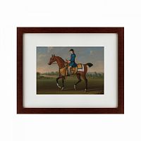 картина: bay racehorse with jockey up, 1730 в Ярославле