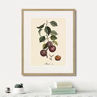 картина: juicy fruit lithography №6, 1870г. в Ярославле