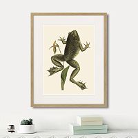 картина: big jumping frog, 1745г. в Ярославле