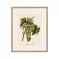 картина juicy fruit lithography №13-1, 1870 г., 42х52 см в Ярославле