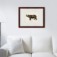 картина: rhinoceros ancienne gravure, 1849 в Ярославле