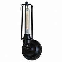 бра st luce filo sld968.401.01 в Ярославле