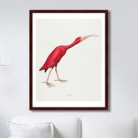 картина: scarlet ibis, 1827г. в Ярославле