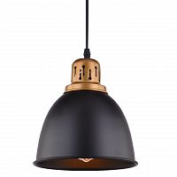 подвесной светильник arte lamp eurica a4245sp-1bk в Ярославле