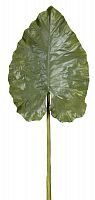 декор giant taro leaf в Ярославле