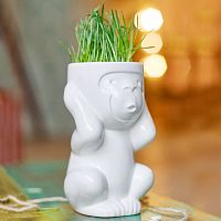 горшок для растений eco игнорик в Ярославле