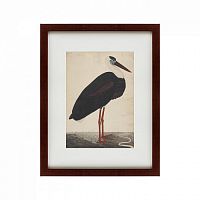 картина: black stork in a landscape, индия, 1780 в Ярославле