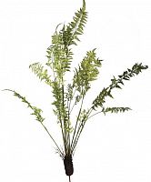 декор fern plant в Ярославле