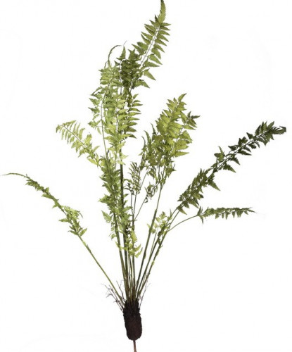 декор fern plant в Ярославле