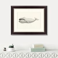 картина: bowhead whale (balaena mysticetus), 1856 в Ярославле