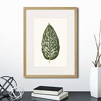 картина: single leaf of a plant №1, 1865г. в Ярославле